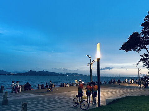 深圳湾红树林公园海边漫步