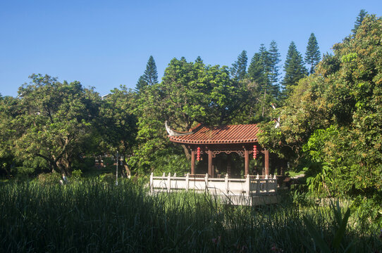 芳草园水榭