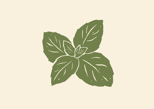 矢量薄荷