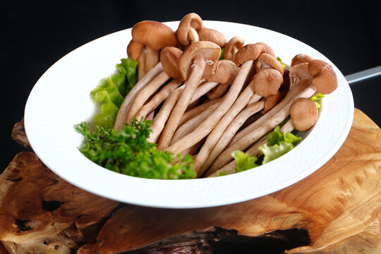 茶树菇