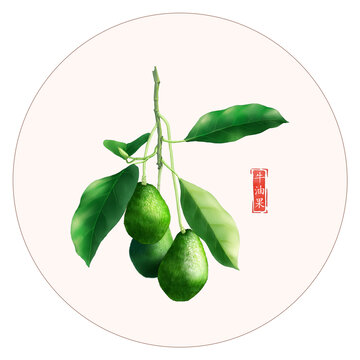 牛油果