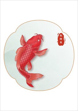 红鲤鱼