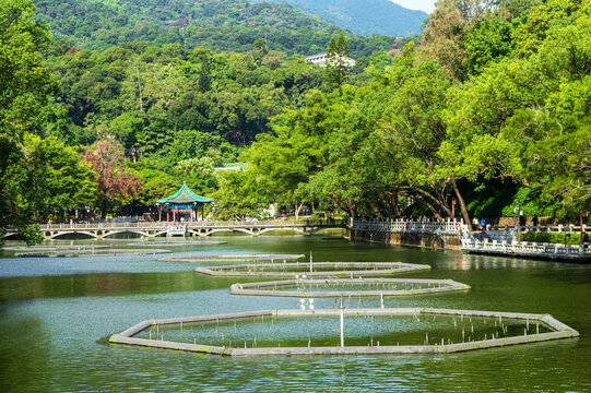 湖畔风光