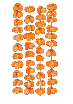 吊柿子柿饼卡通手绘插画免扣PNG