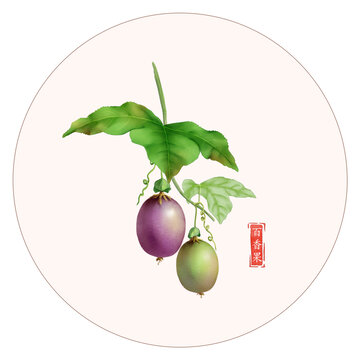 百香果