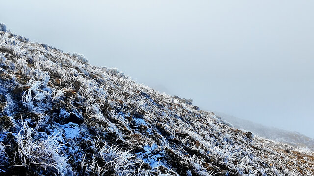 牛背山雪景云海