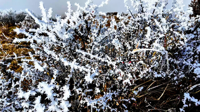 牛背山雪景云海