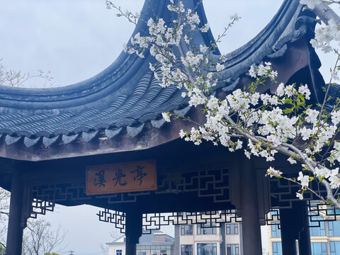 盛泽风景