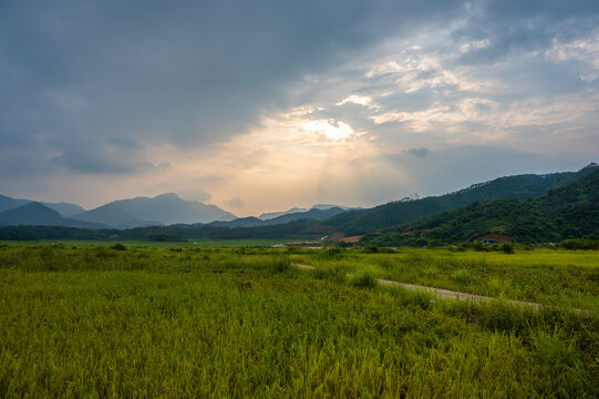 高山稻田丁达尔光