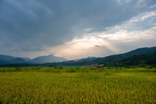 高山稻田丁达尔光
