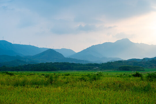 高山田野