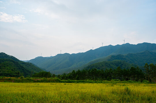 高山田野