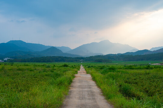 高山田野