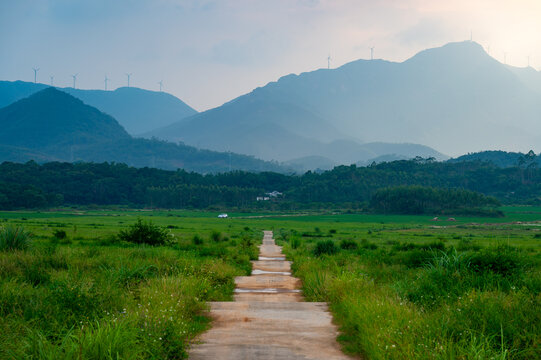 高山田野