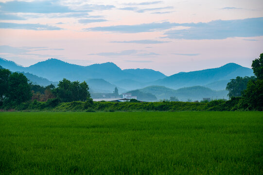 高山稻田朦胧美景