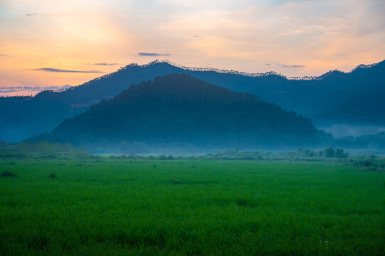 高山稻田朦胧美景