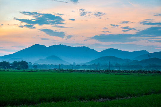 高山稻田朦胧美景