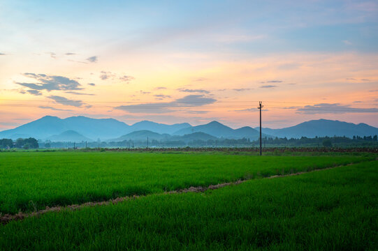 高山稻田朦胧美景
