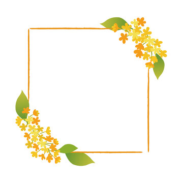 桂花边框