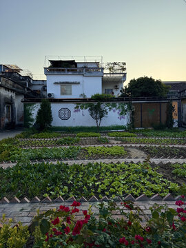 美丽乡村伦教羊额四小院