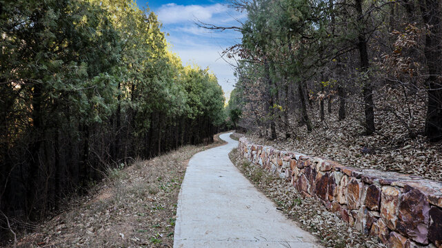 山路