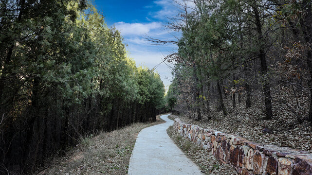 山路