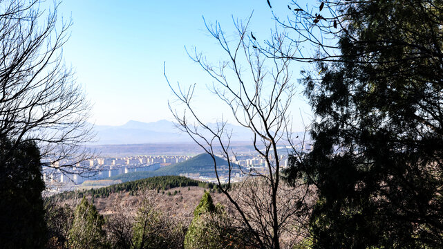 山路