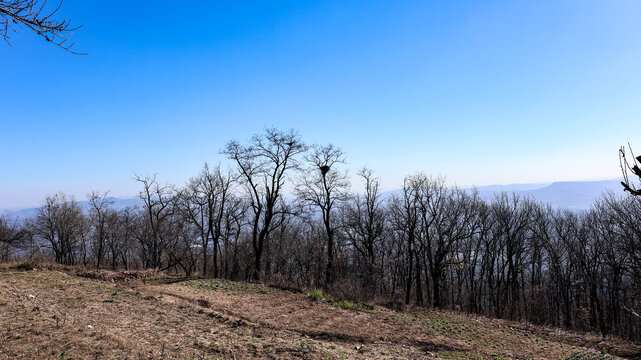 嵩山