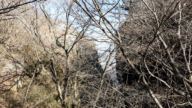 秋冬的山景