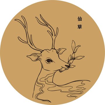 中药包装