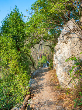 登山小路