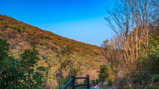 山中小路