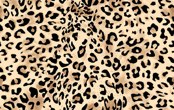 豹纹