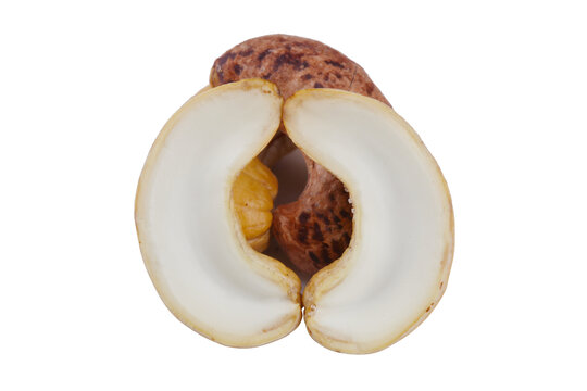 腰果