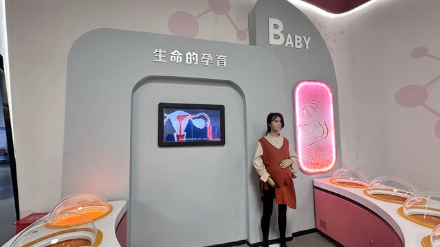 生命有孕育