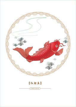 鲤鱼矢量素材