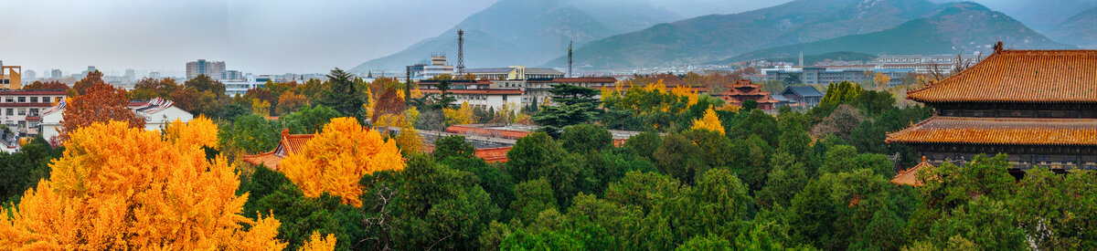 泰安泰山区