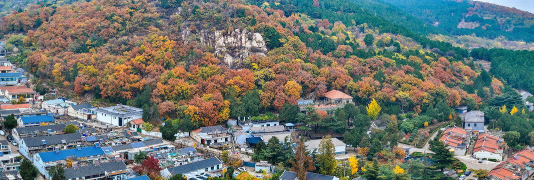 泰安泰山区