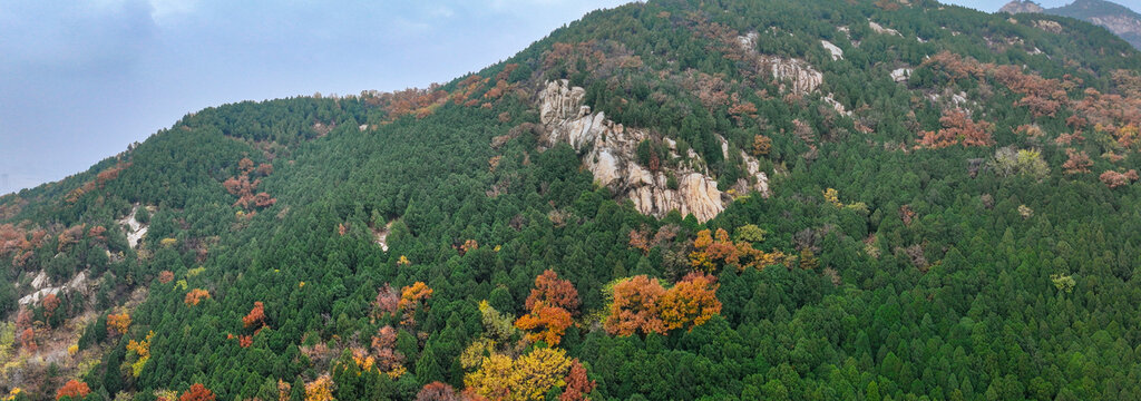 泰安泰山区