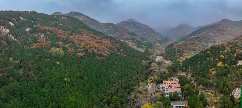 泰安泰山区