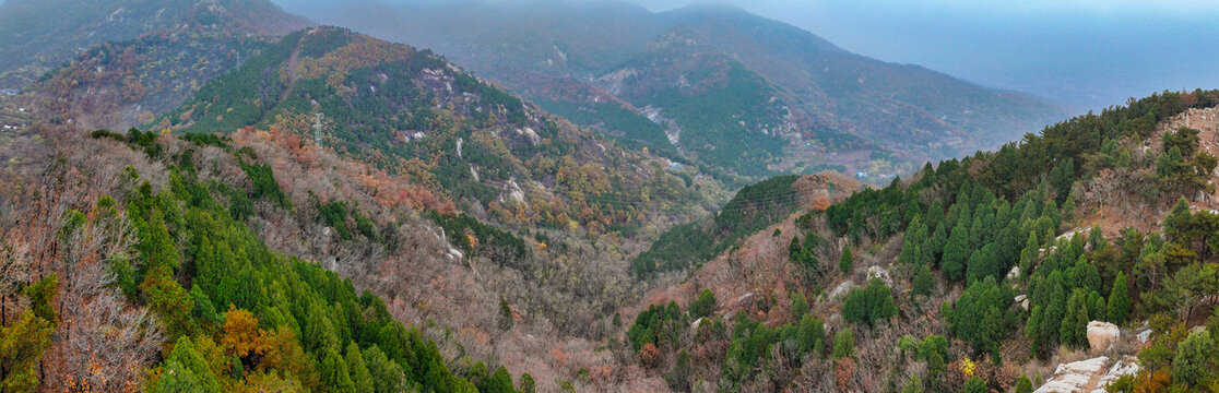 泰安泰山区