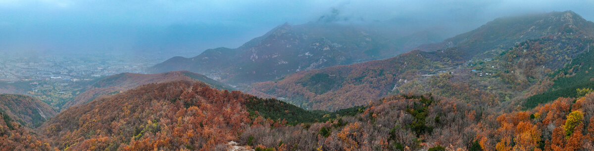 泰安泰山区