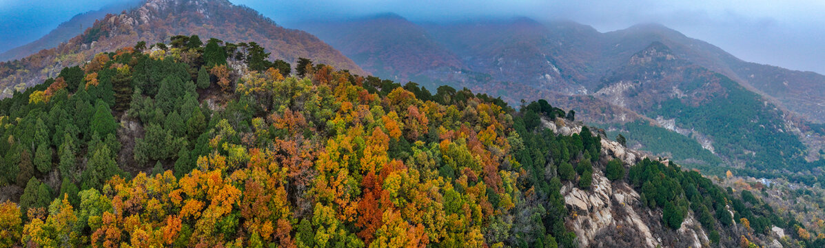 泰安泰山区