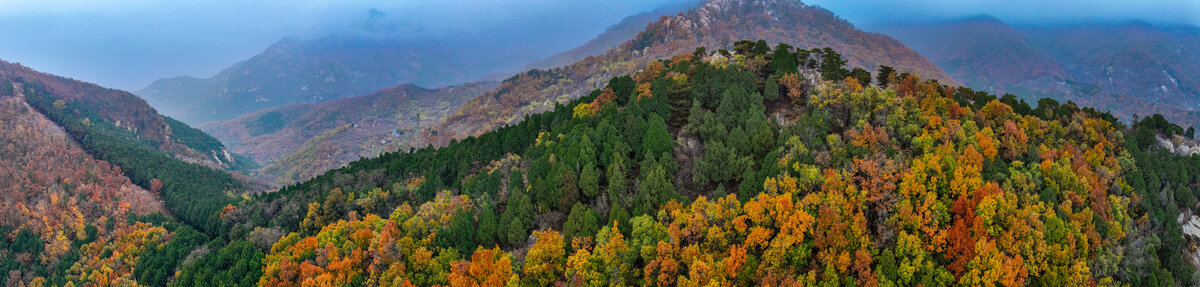 泰安泰山区