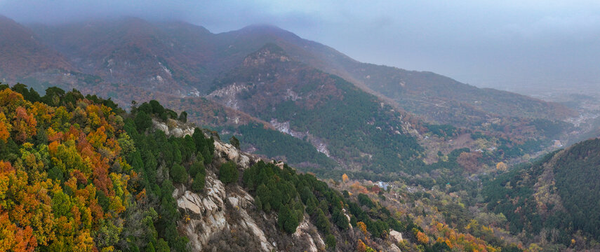泰安泰山区