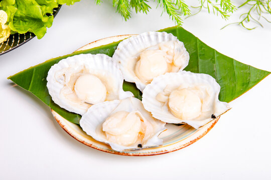 火锅菜品扇贝