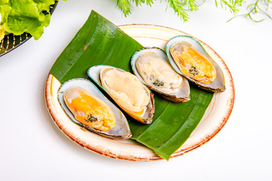 火锅菜品青口贝
