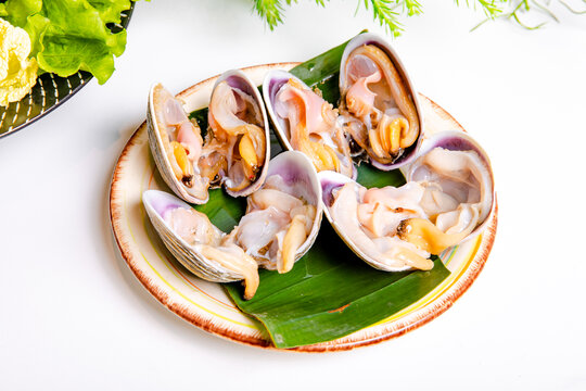 火锅菜品青口贝