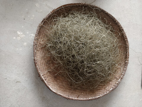 一簸箕红薯粉