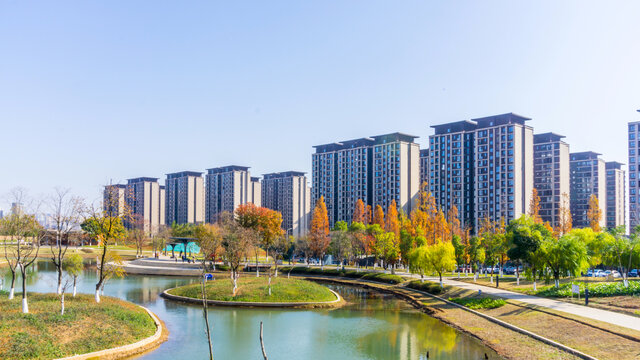 阳光树林